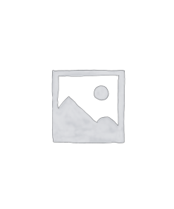 Remote Controlled Toys